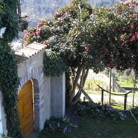 Apartment Agriturismo Azienda Viti-vinicola Hostettler *